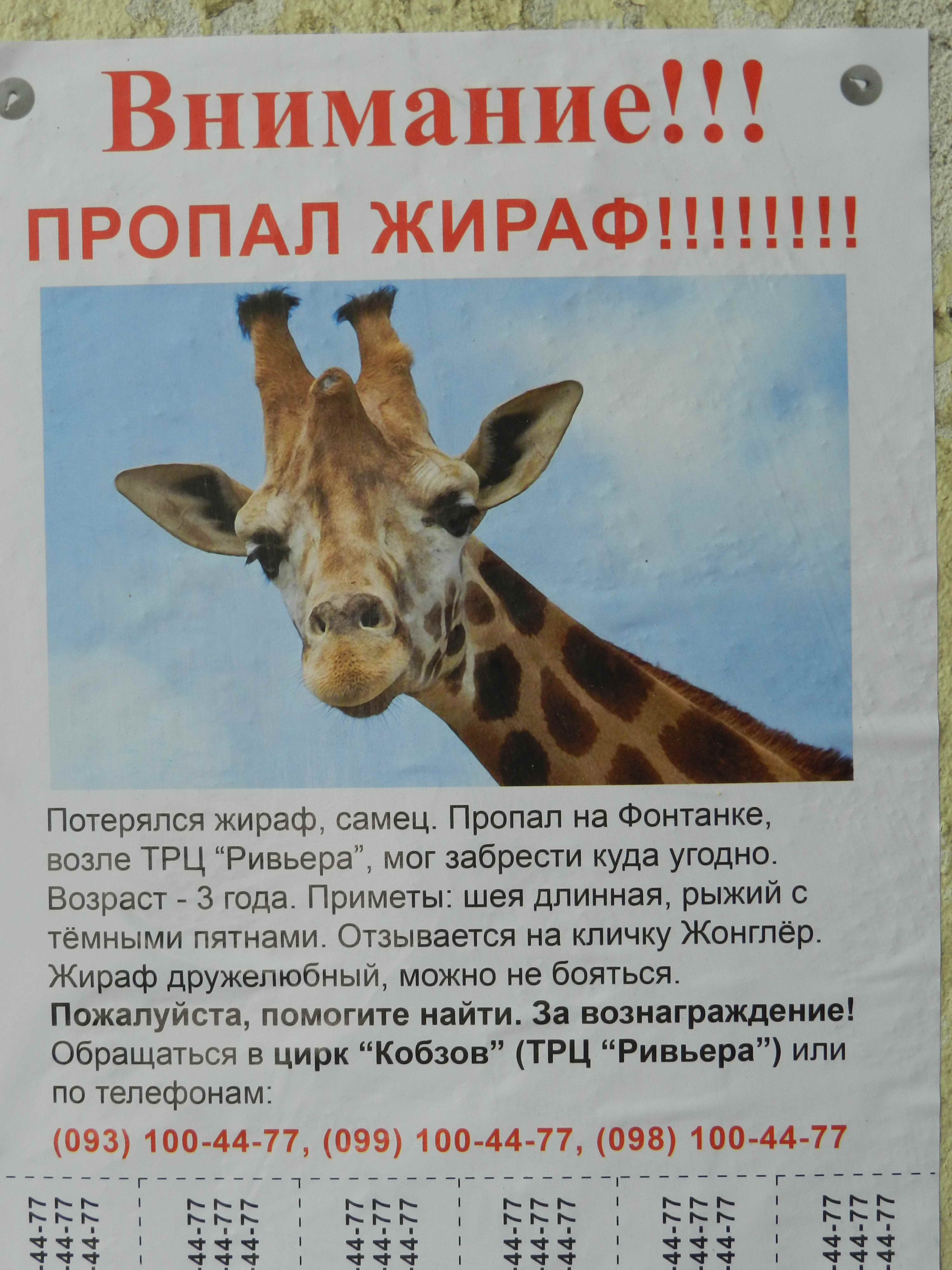 O9.jpg